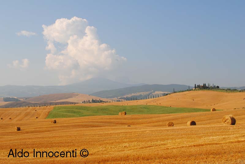 GALLINA: PAESAGGIO 12' IMMAGINE